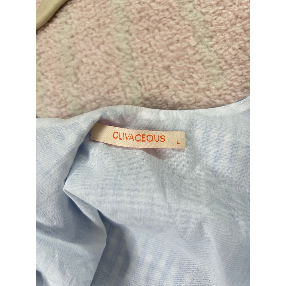 Olivaceous 100% Cotton Blue White Gingham Trapeze Swing Mini Dress Size Large - Picture 3 of 9